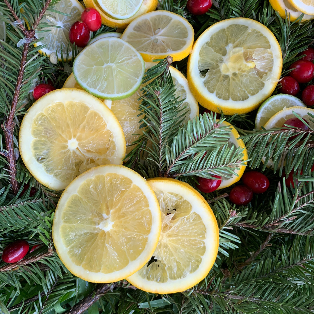 Fraser Fir