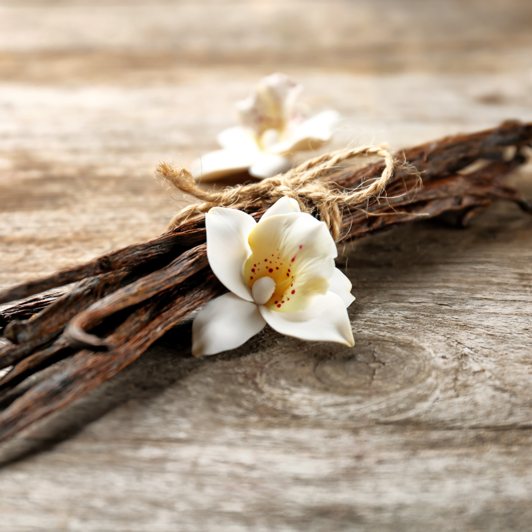 Vanilla Bean